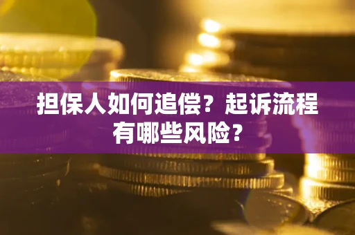 北京担保人如何追偿？起诉流程有哪些风险？