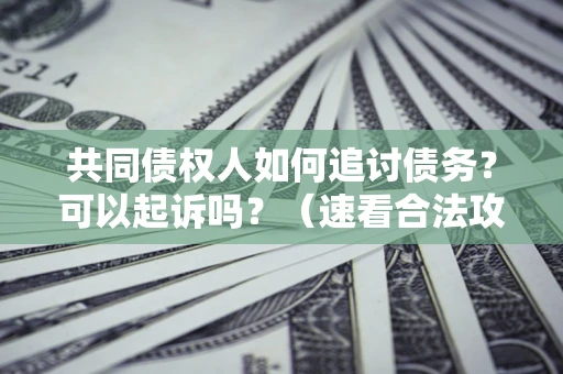 北京共同债权人如何追讨债务？可以起诉吗？（速看合法攻略）